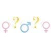 Banderole de 5 mètres - Girl or Boy ?
