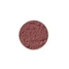Faux sang en poudre Foncé - Kryolan - 10g