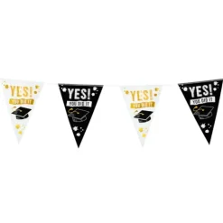 Guirlande de 15 fanions "Yes! You Did It" - 6 m - Collection Diplôme