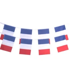 Guirlande Tricolore France Polyester - 8 pavillons - 4,5 M