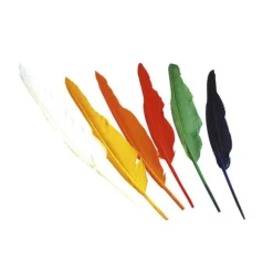Pack de 12 plumes multicolores