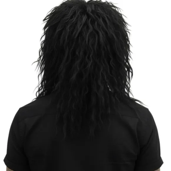 Perruque de Rocker pour homme