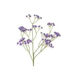 Tige de gypsophile avec 108 fleurs - 62 cm - Couleur au choix